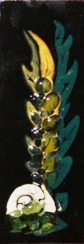 photo10