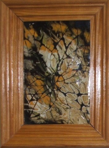 photo5