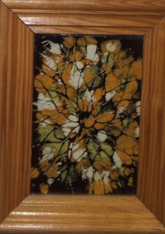 photo6